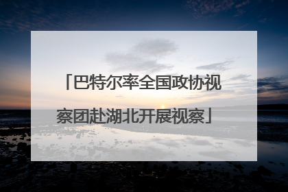 巴特尔率全国政协视察团赴湖北开展视察